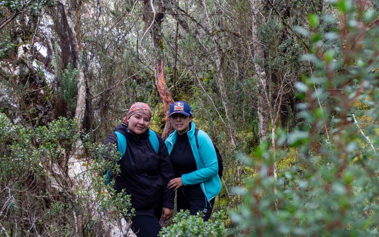 Trainos PEAKS en el Cajas