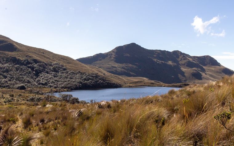 Trainos PEAKS en el Cajas